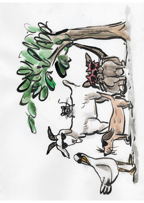 Pack of 5 Cards - Hannah Designs