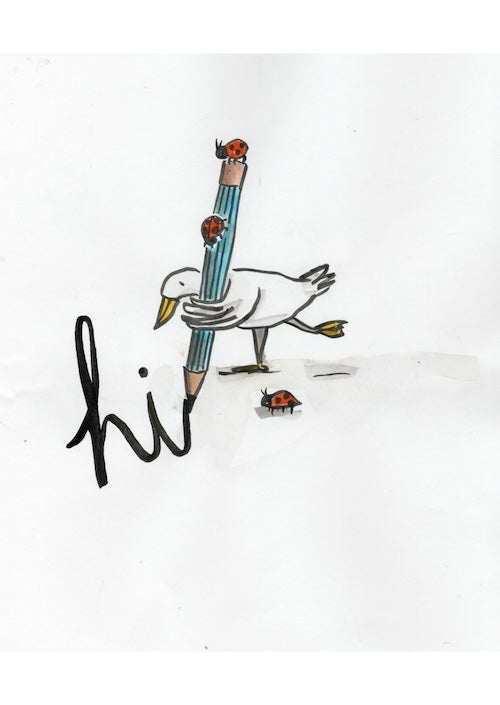 Pack of 5 Cards - Hannah Designs