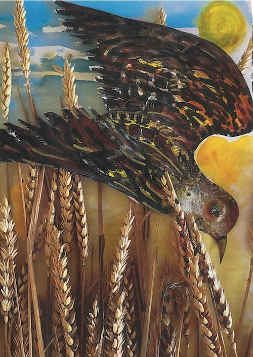 Pack of 5 Cards - Natural Palestine